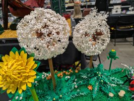 Ain't That Dandi? by Dawn Sloboda and Chris Meeker