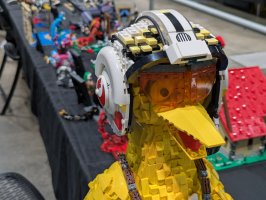 Biggs Bird by Charles Cartia