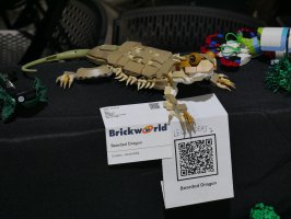 Bearded Dragon by Jared Astle