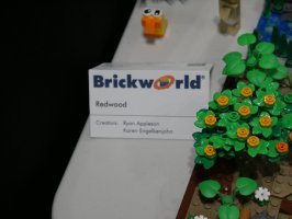 Redwood by Ryan Appleson Karen Engelkenjohn
