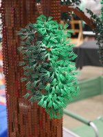 Redwood by Ryan Appleson Karen Engelkenjohn