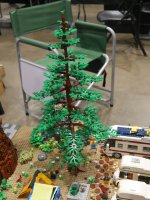 Redwood by Ryan Appleson Karen Engelkenjohn
