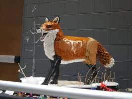 Red Fox by Roldan Grace