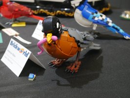 American Robin by Roldan Grace