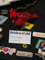 Northern Cardinal by Roldan Grace