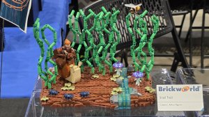 Snail Trail by Arthur Algmin