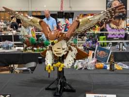 Red-Tailed Hawk by Zane Houston
