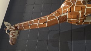 Giraffe by Roldan Grace